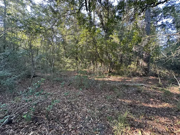 a view of a green field with lots of bushes