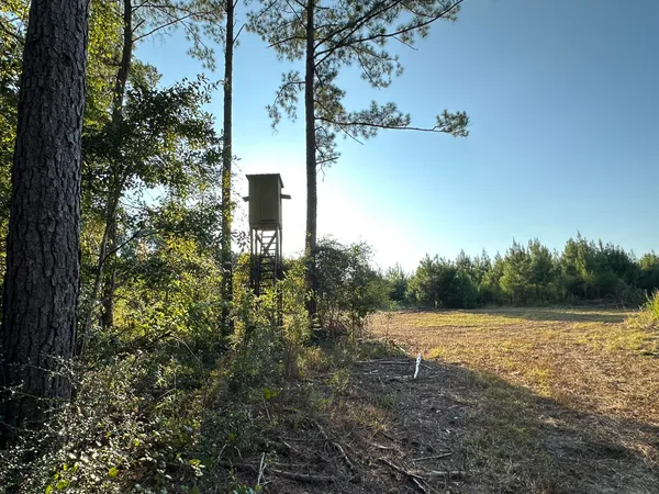 a view of a lake view