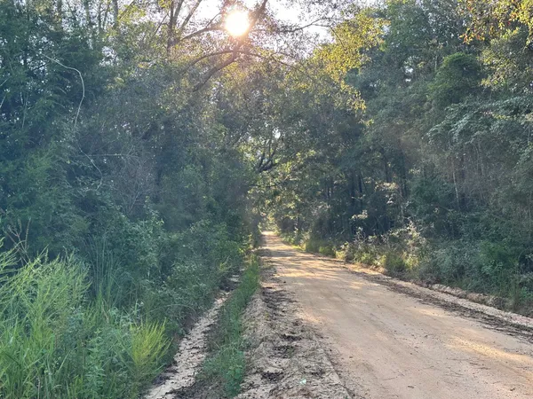 a view of a city and a mountain