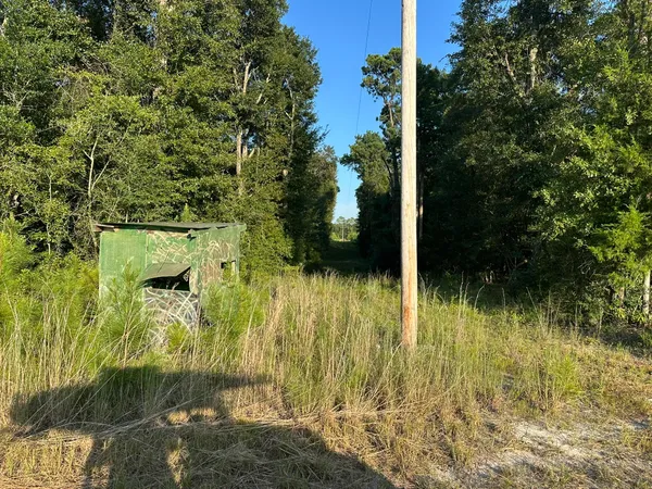 a view of swimming pool from a yard