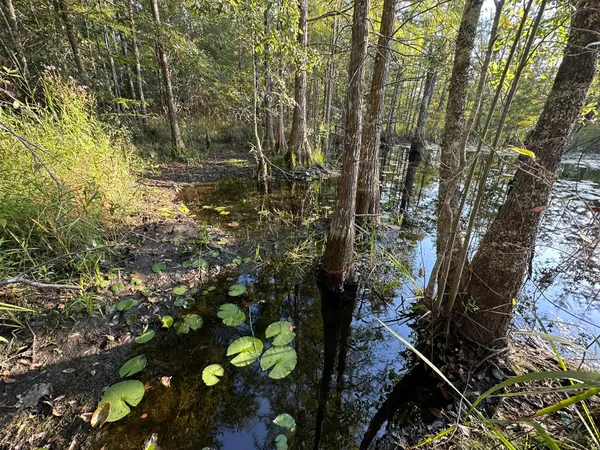 a view of a lake with a garden