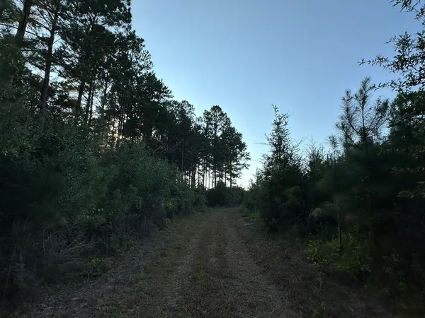a view of a field with trees in the background