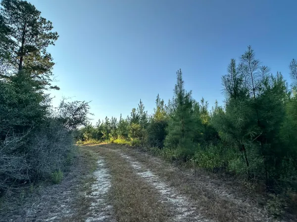 a view of outdoor space and trees