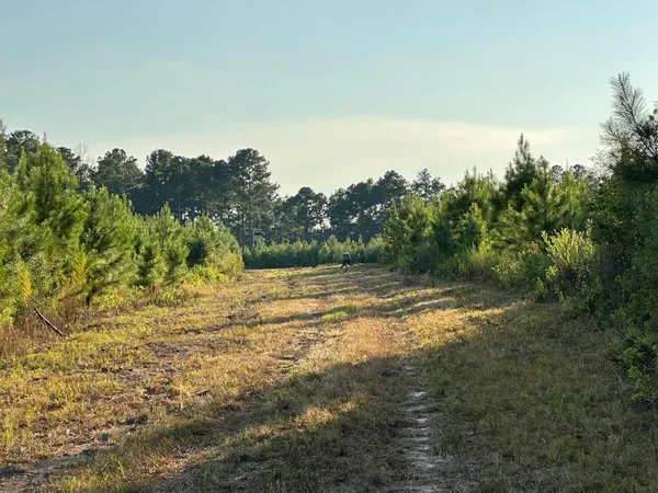 a view of a lake in middle of green field