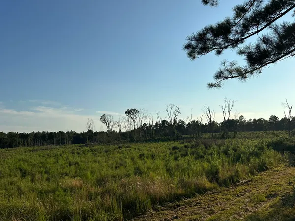 $979,900 | Tract#6201 Doyle Morgan Road, DeFuniak Springs, FL 32433