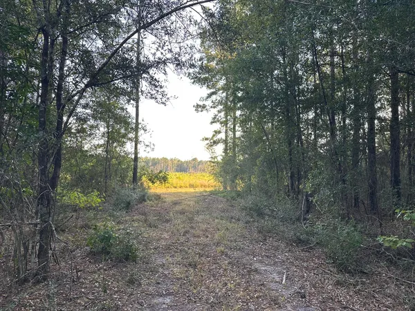 a view of a house with a backyard and swimming pool