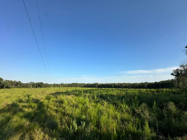 a view of a field with trees in the background