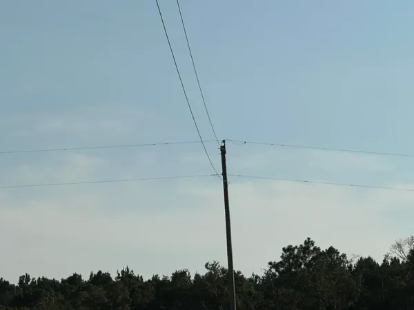 a view of outdoor space and trees