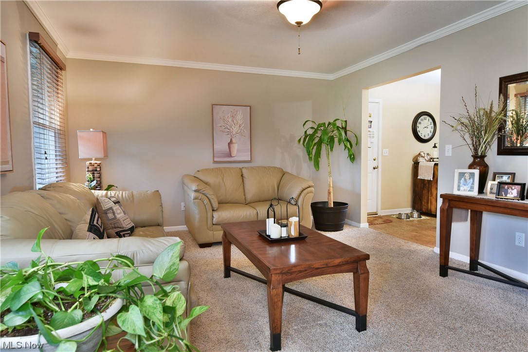 4865 New Road Youngstown, OH 44515 - Photo 5 of 35 Main level living room