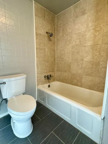 a bathroom with a toilet and a bathtub