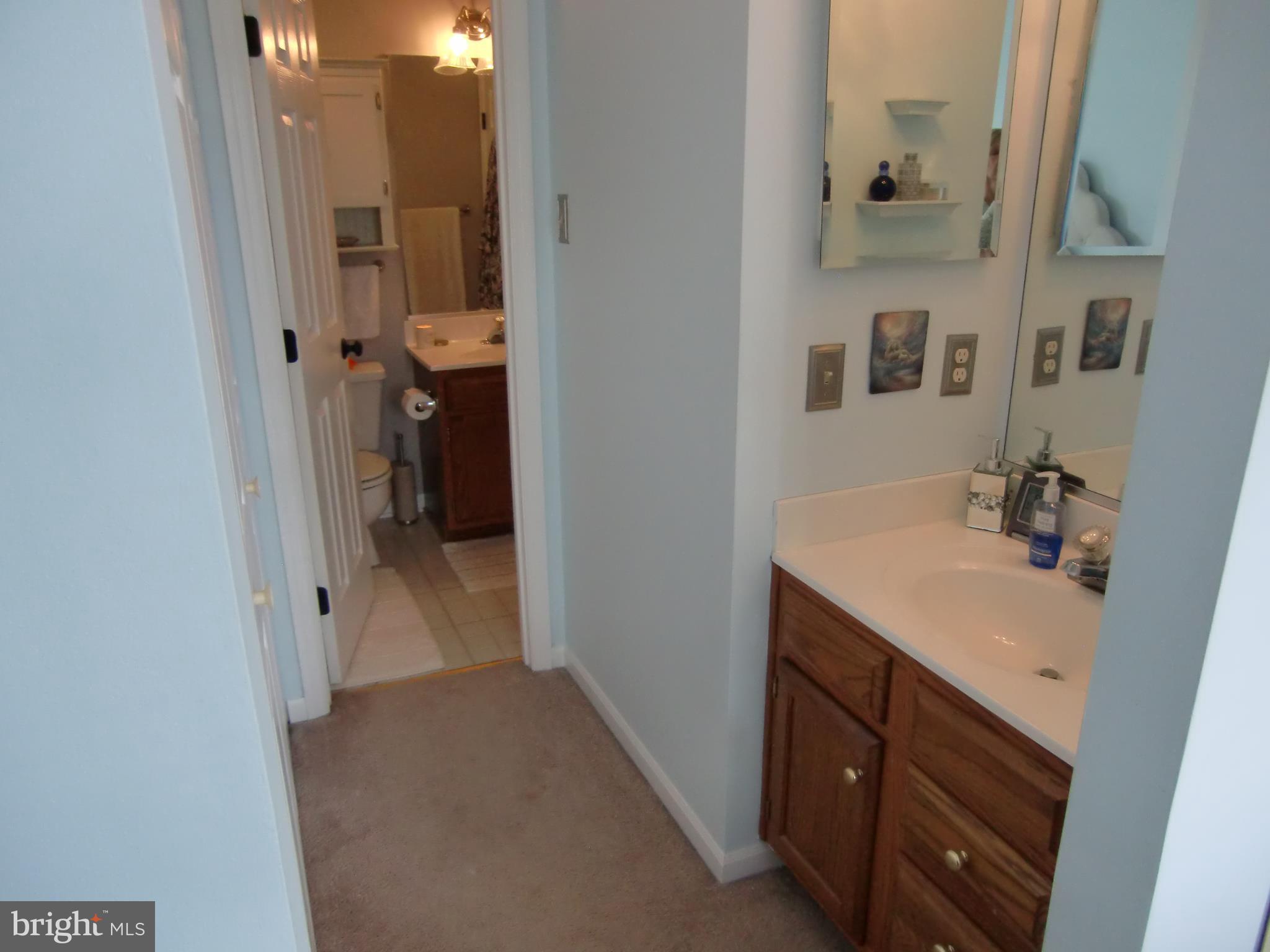 2236 Riding Crop Way Baltimore, MD 21244 - Photo 18 of 25 a bathroom with a sink and mirror