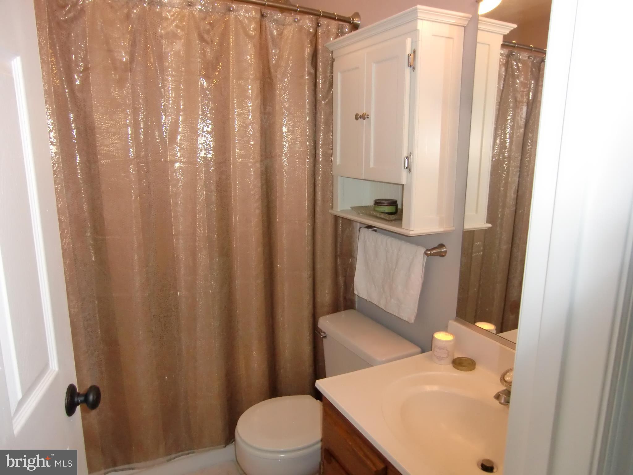2236 Riding Crop Way Baltimore, MD 21244 - Photo 19 of 25 a bathroom with a sink a toilet and shower curtain