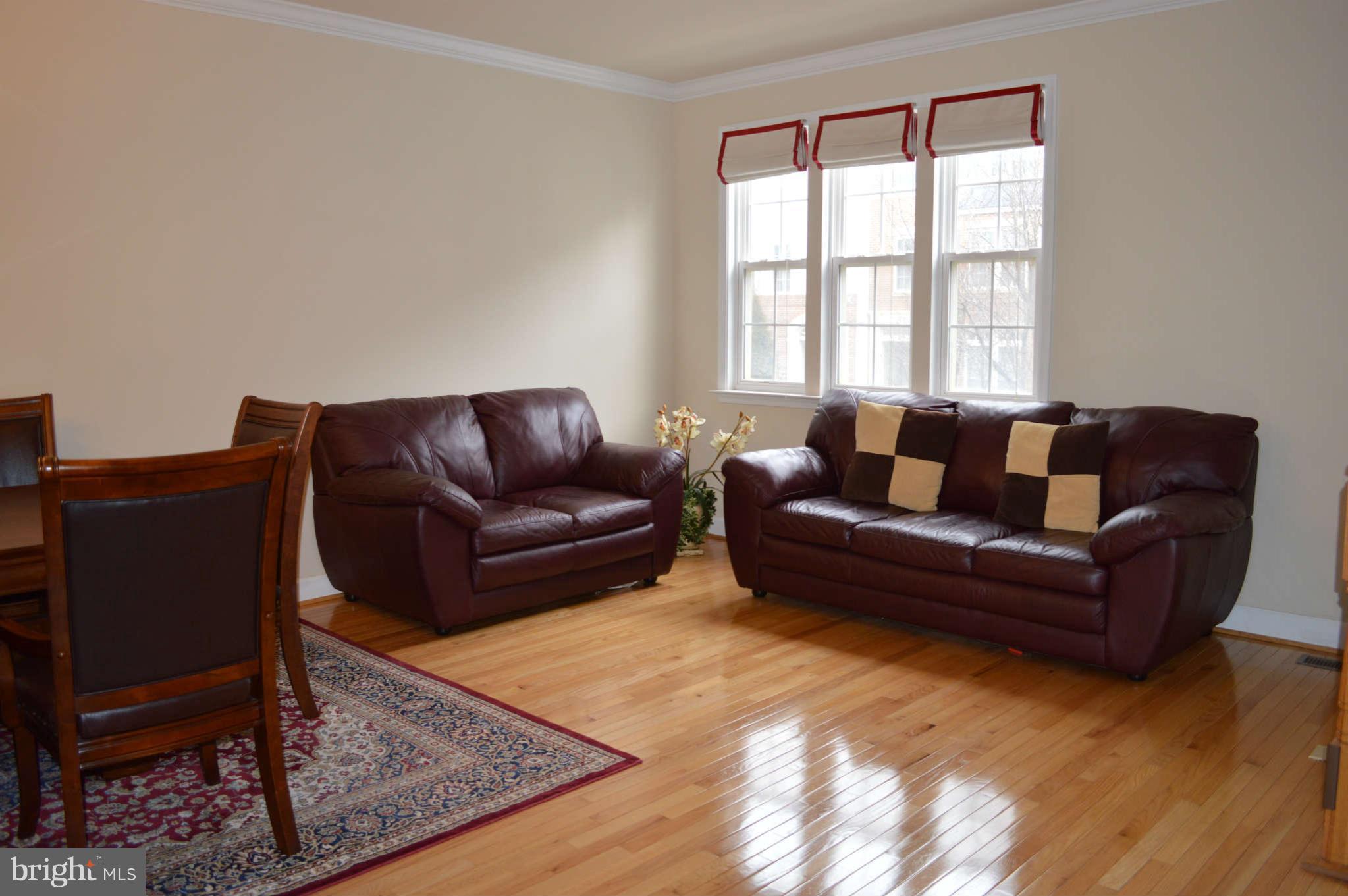 640 Cedar Spring Street Gaithersburg, MD 20877 - Photo 58 of 59 Living Room