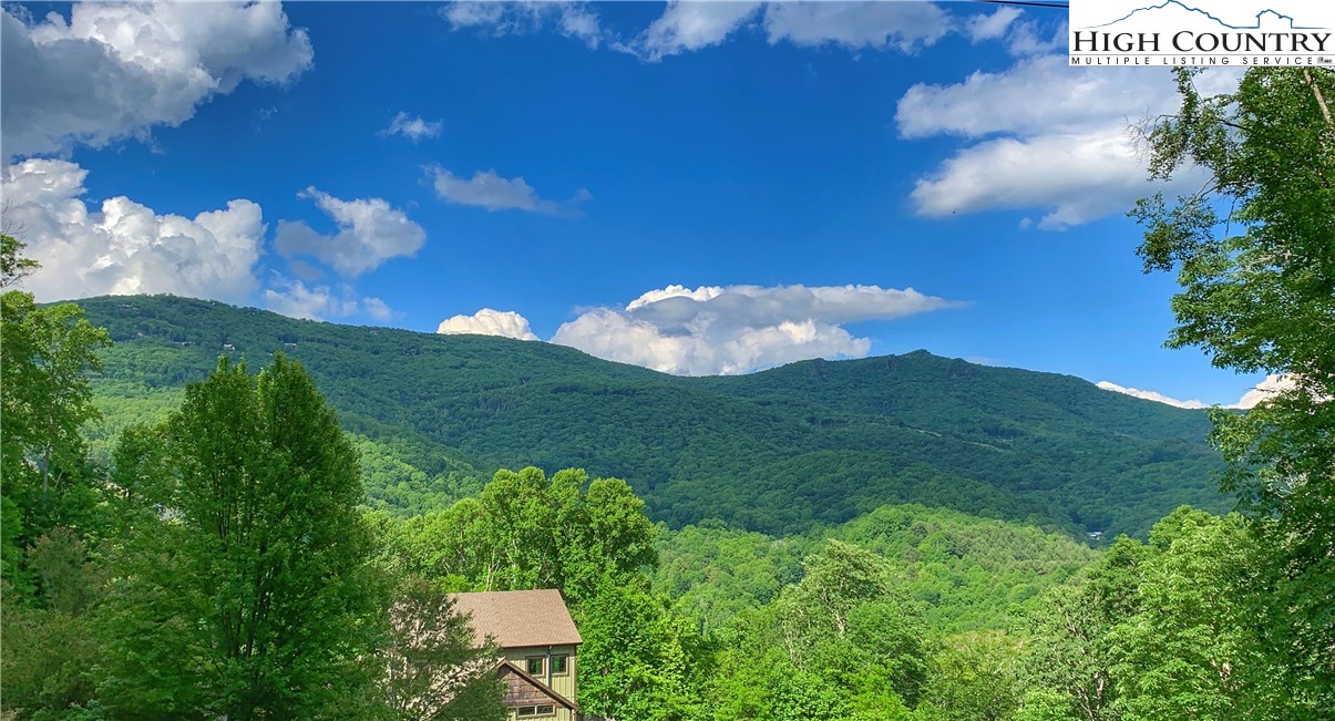 473 Double Knob Road Banner Elk, NC 28604 - Photo 3 of 49 Gallery Image 3
