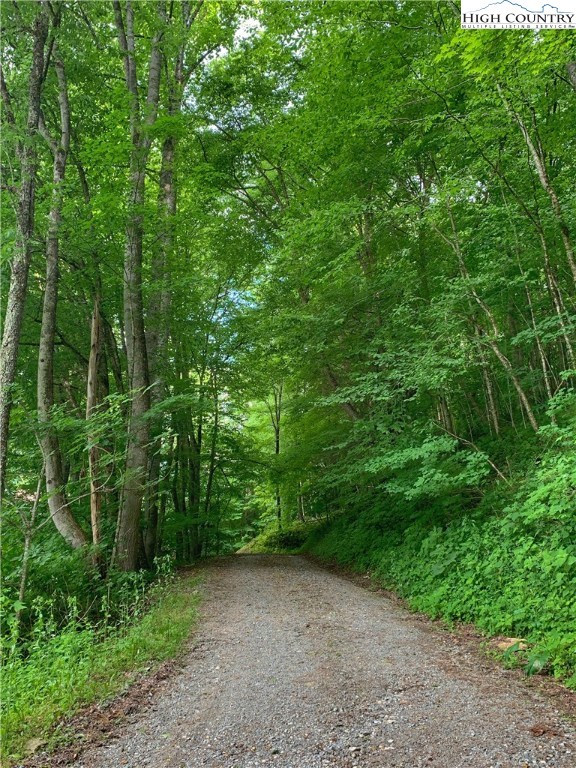 473 Double Knob Road Banner Elk, NC 28604 - Photo 38 of 49 Gallery Image 38