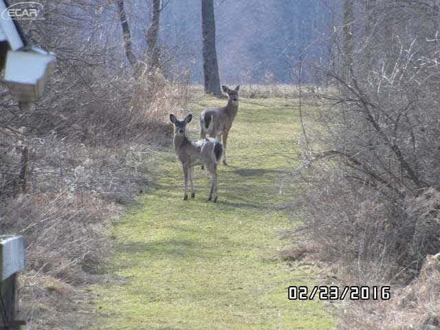 10365 Potter Road Flushing, MI 48433 - Photo 31 of 41 21131260-30.JPG