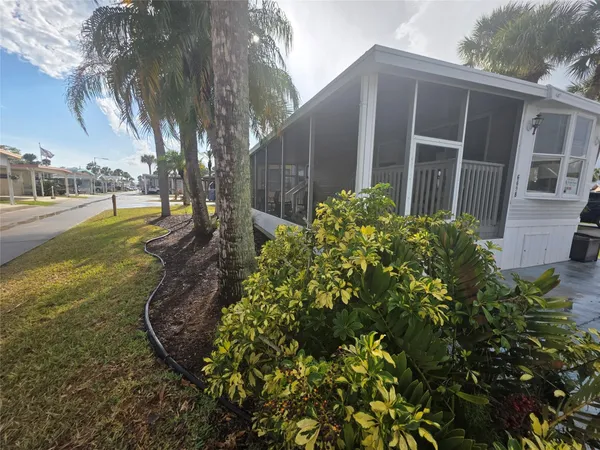 a view of a backyard with plants