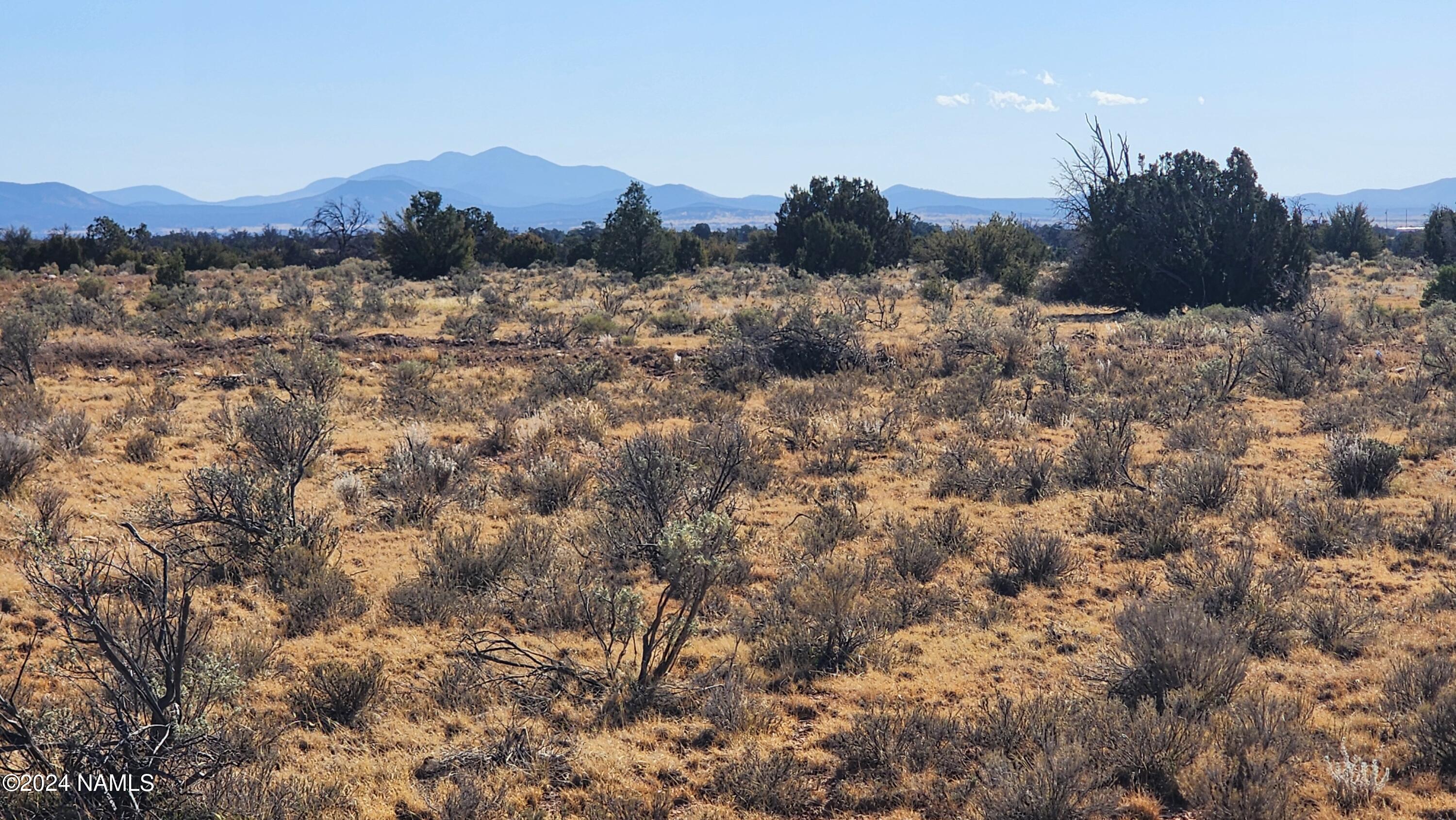 3433 Red Butte Road Williams, AZ 86046 - Photo 2 of 4 1000022448