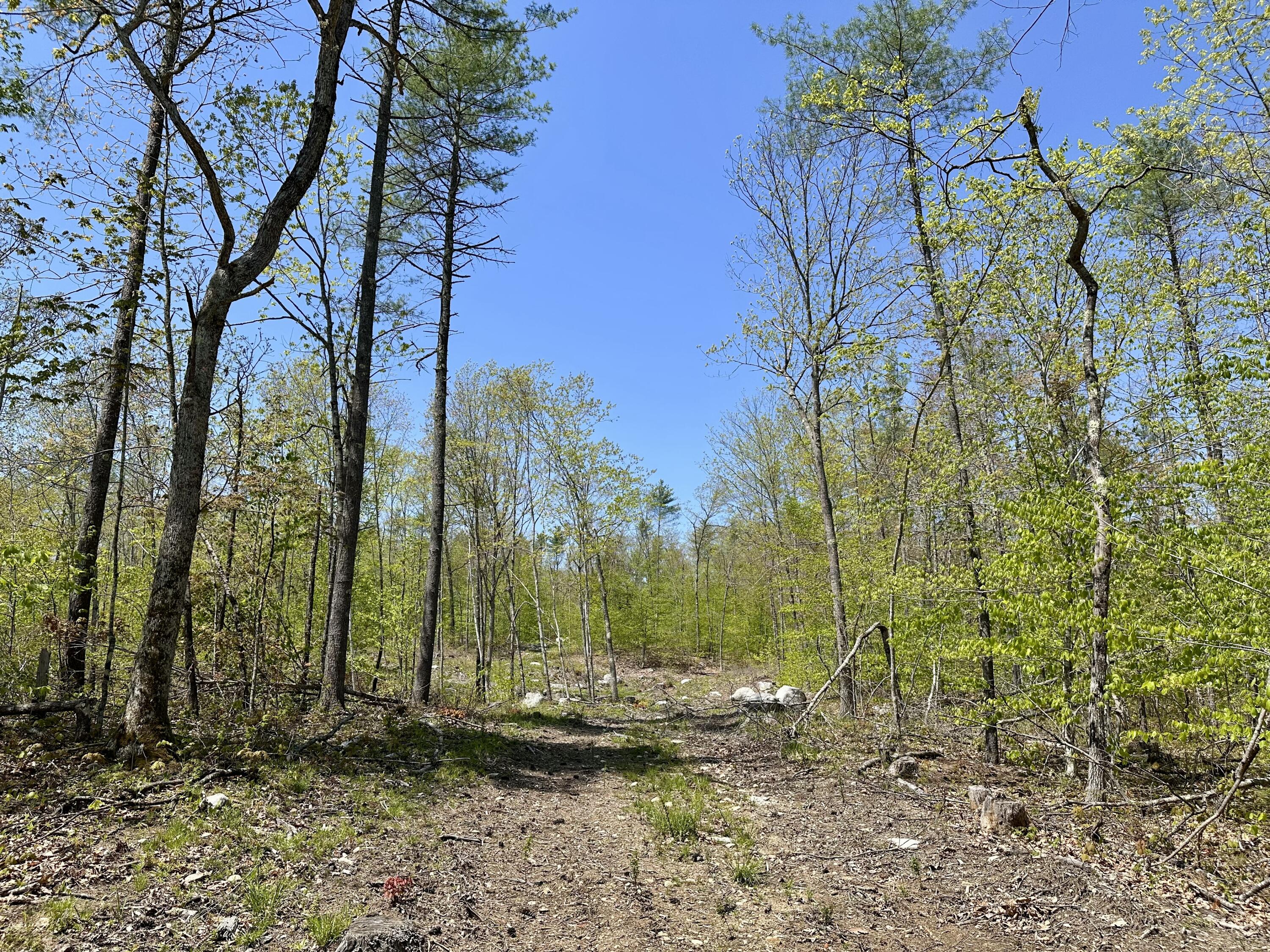 Lot 3-12b Johnson Road Gray, ME 04039 - Photo 8 of 15 ROW