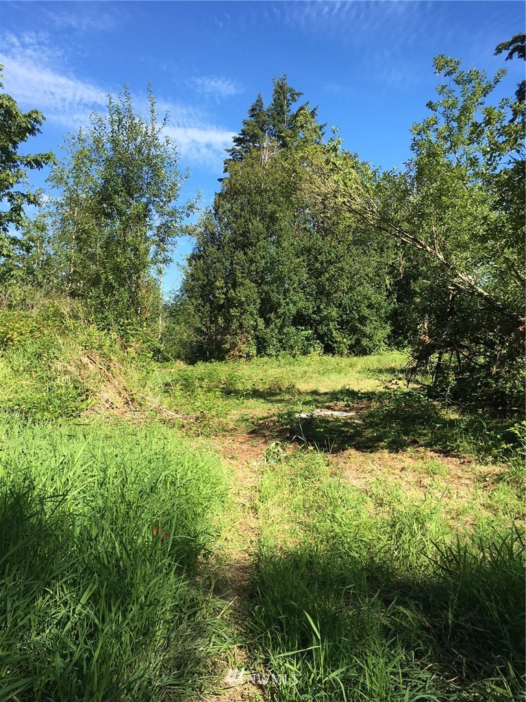 14418 Maple Road Southeast Port Orchard, WA 98367 - Photo 1 of 4 Gallery Image 1