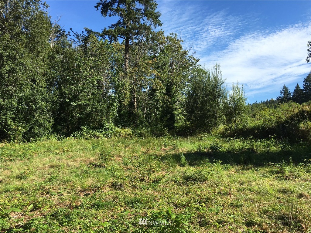 14418 Maple Road Southeast Port Orchard, WA 98367 - Photo 3 of 4 Gallery Image 3
