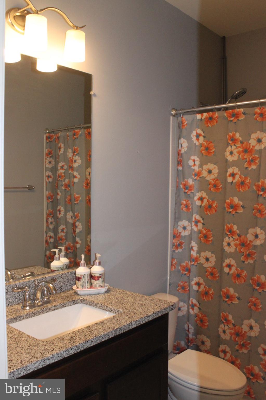 7452 Riding Meadow Way Manassas, VA 20111 - Photo 7 of 22 Charming floral bathroom retreat.