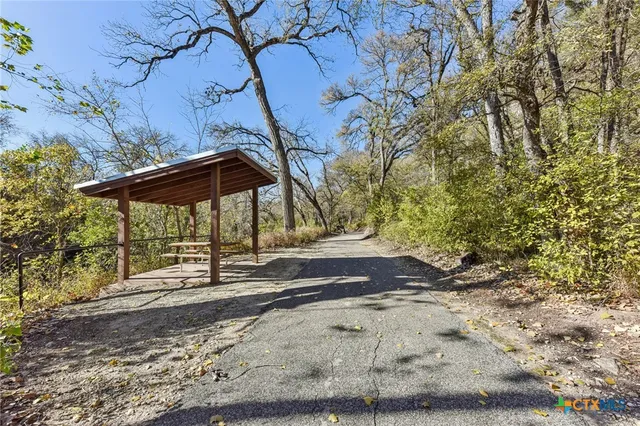 a view of a yard with trees