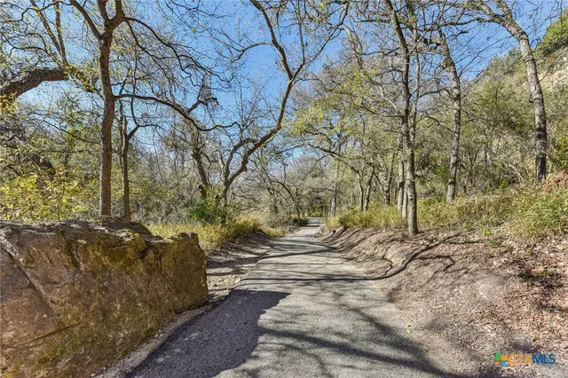 a view of a lake with a tree