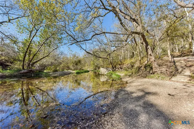 a view of lake with a tree