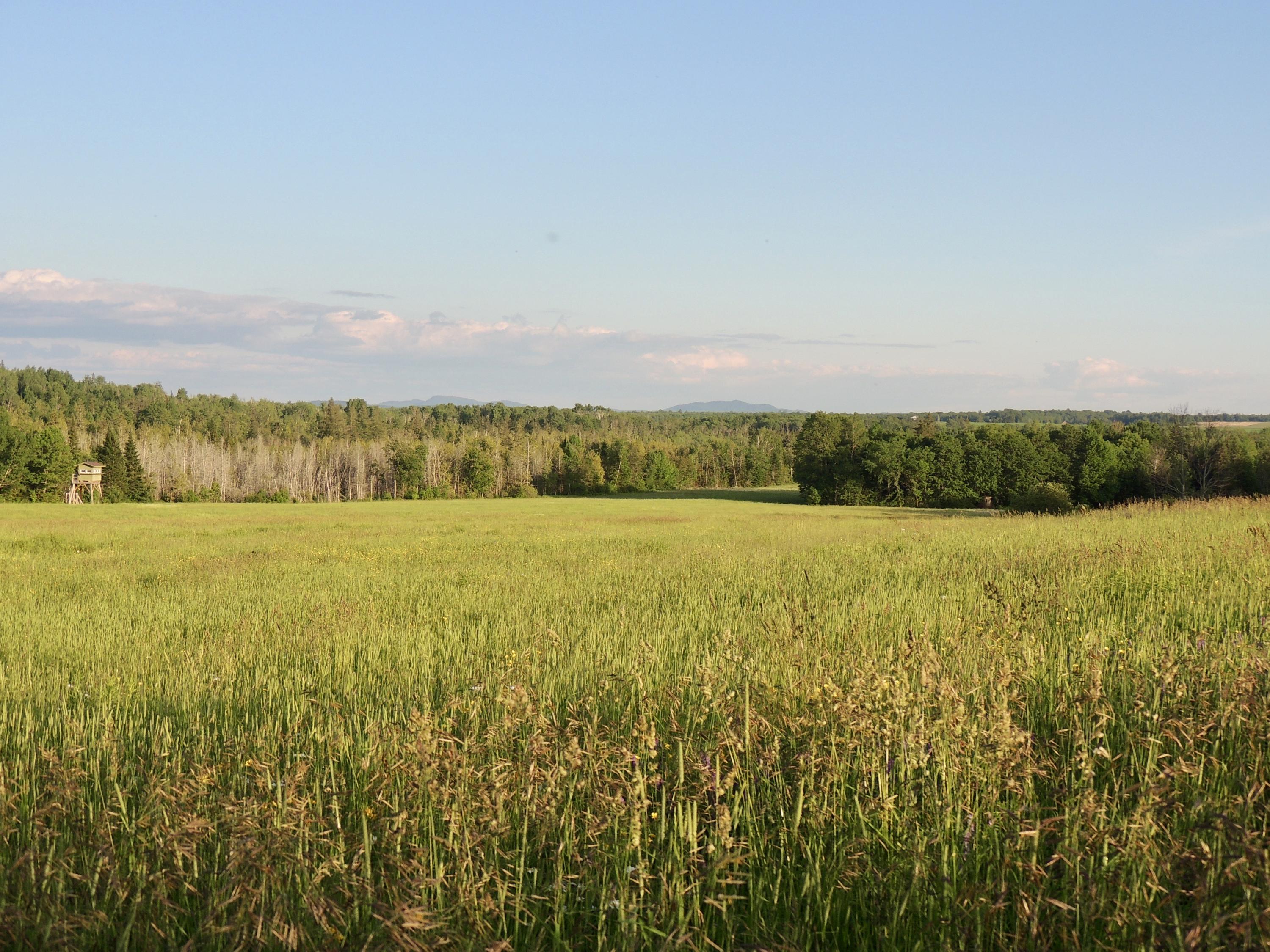 Map7-lot7 West Chapman Road Mapleton, ME 04757 - Photo 14 of 35 fullsizeoutput_c9