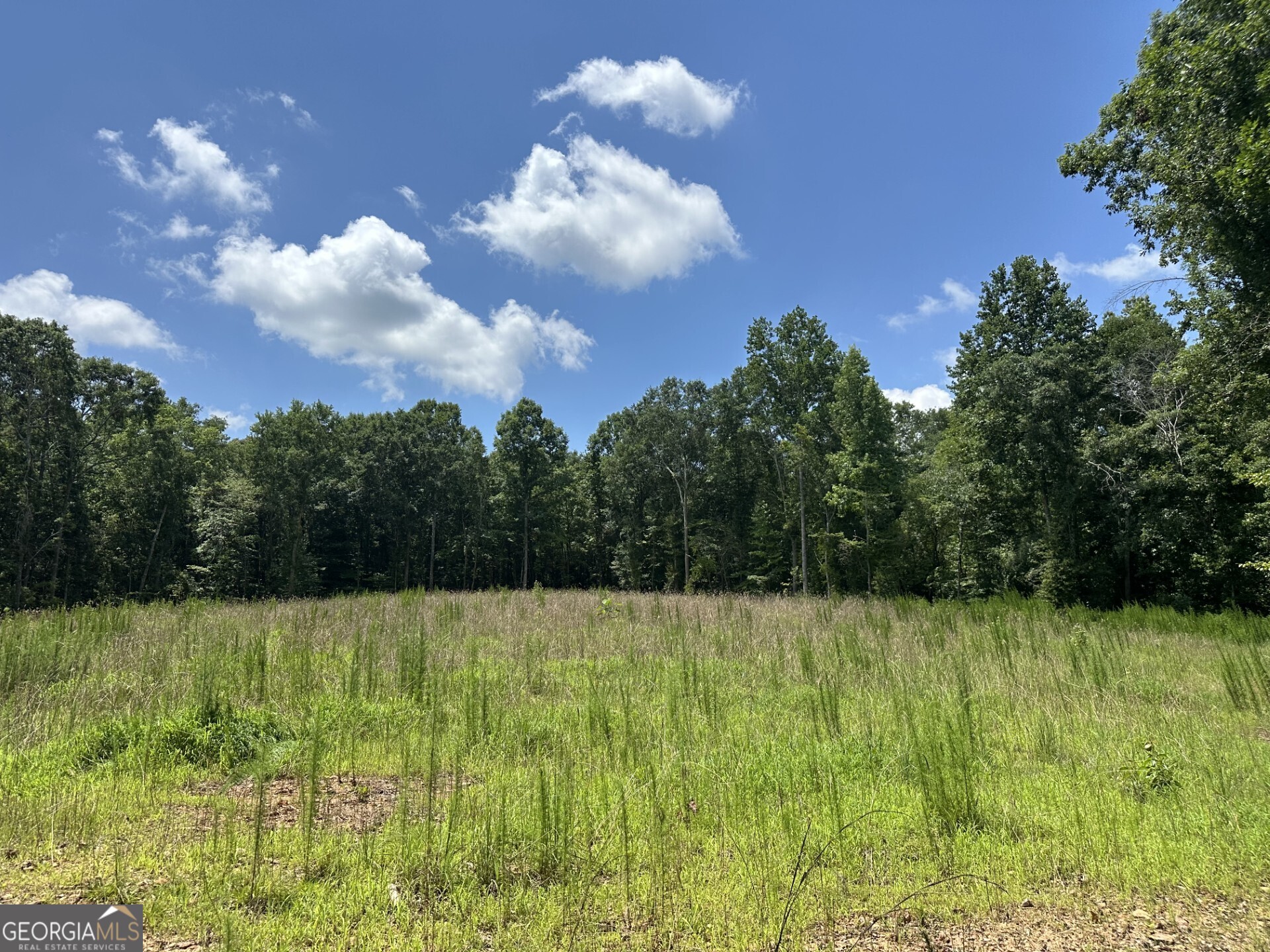 2200 Duffell Martin Road Comer, GA 30629 - Photo 9 of 21