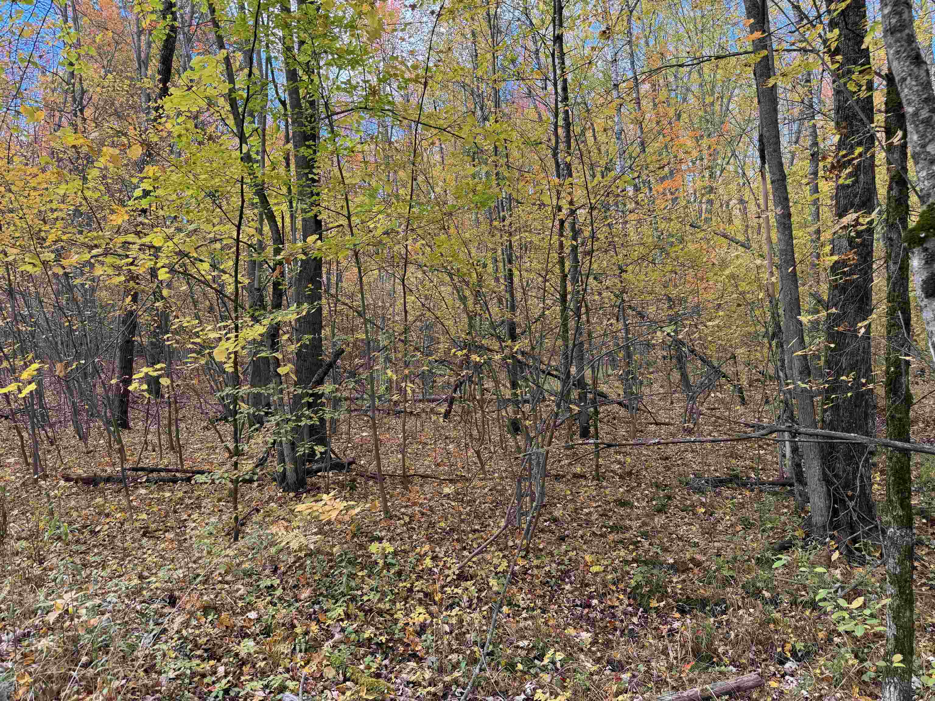 0 Thurman Road Thompsonville, MI 49683 - Photo 47 of 52