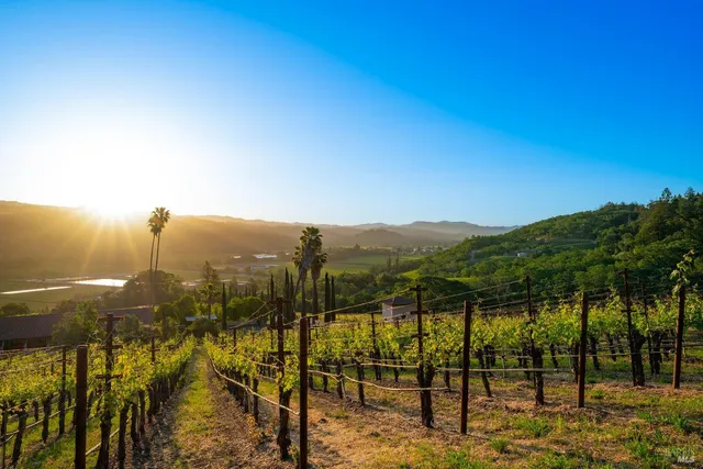 a view of a lake with a mountain