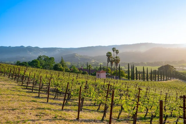 a view of an ocean from a balcony