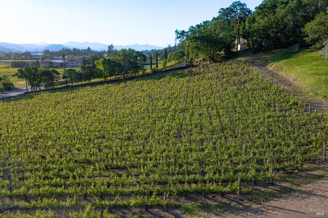 a view of a back yard
