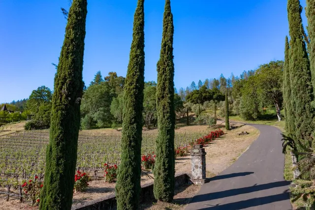 a view of a street with cars
