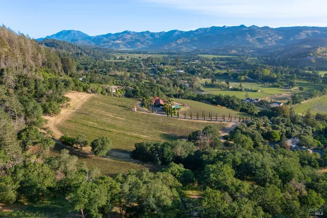 an aerial view of a house with mountain view