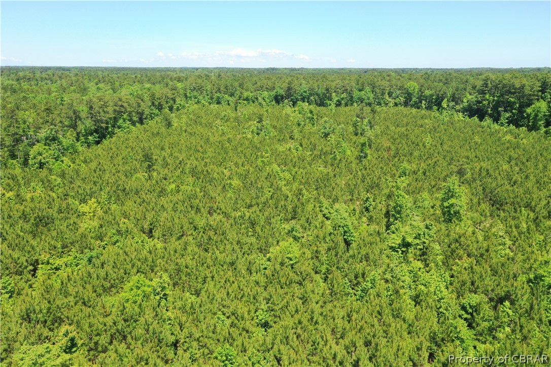 16-ac Ridge Road Cobbs Creek, VA 23035 - Photo 16 of 43 View of local wilderness