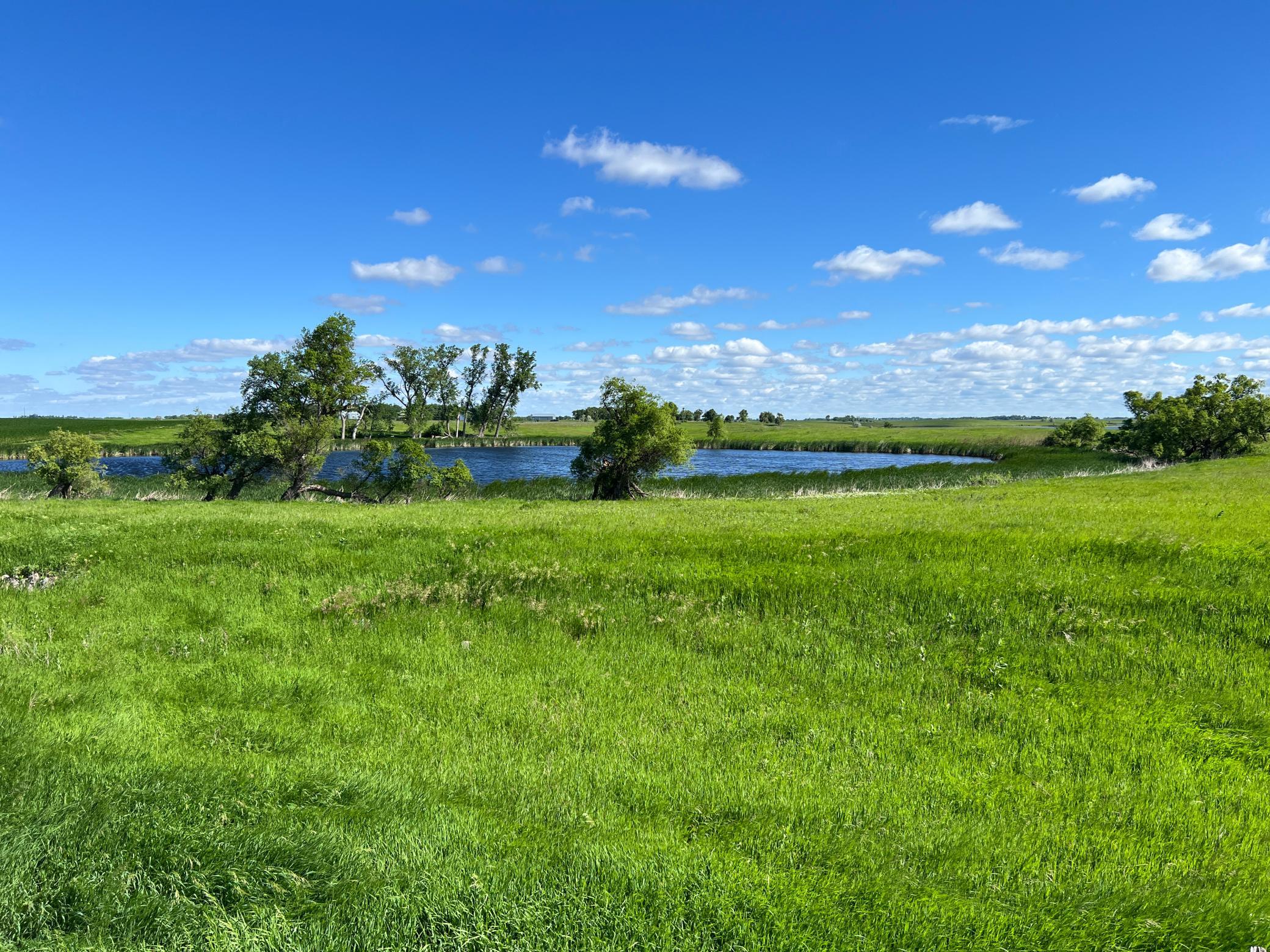Tbd Southeast Tbd Se 90th Street Rutland, ND 58067 - Photo 81 of 105