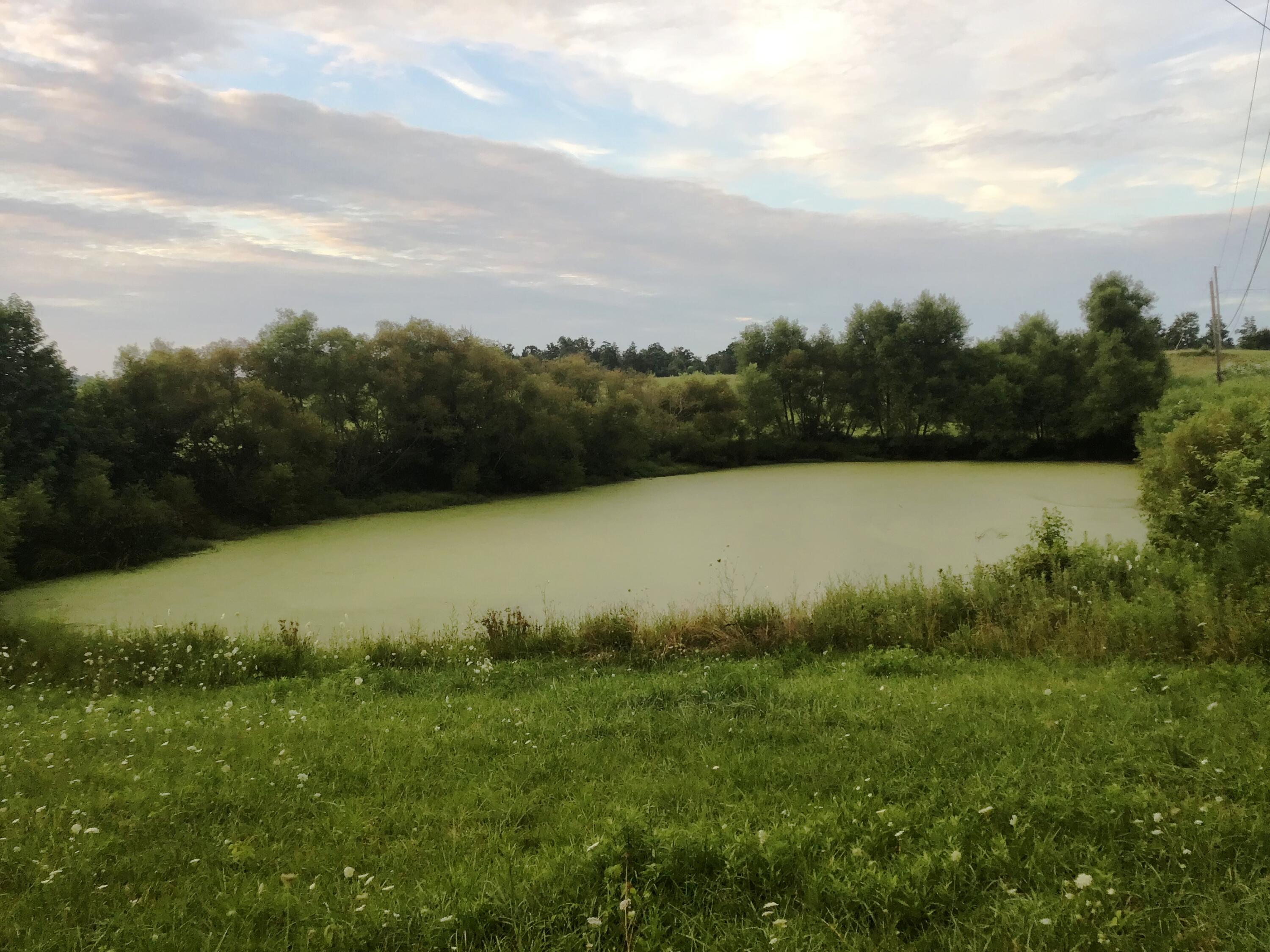 26 Woolsey College Road, Unit 26 Greeneville, TN 37743 - Photo 25 of 25 wc pond