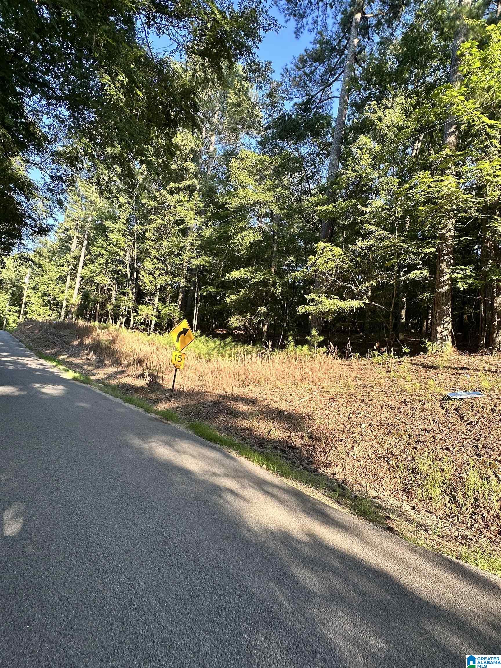 500 Black Acres Road, Unit 27 Cropwell, AL 35054 - Photo 12 of 25