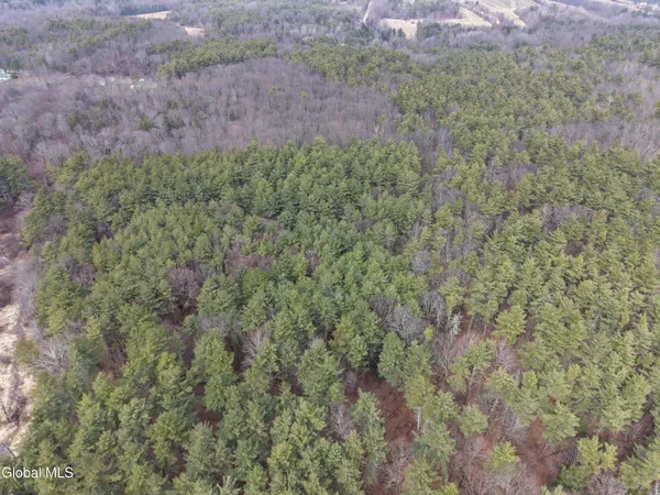 $225,000 | Lot 54 Rr 51, Hannacroix, NY 12087