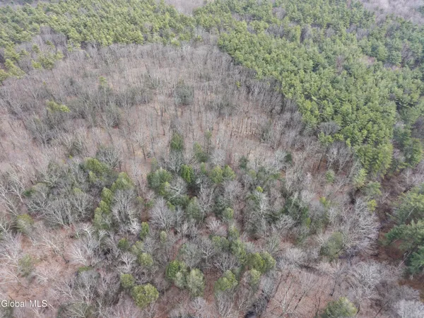 $225,000 | Lot 54 Rr 51, Hannacroix, NY 12087