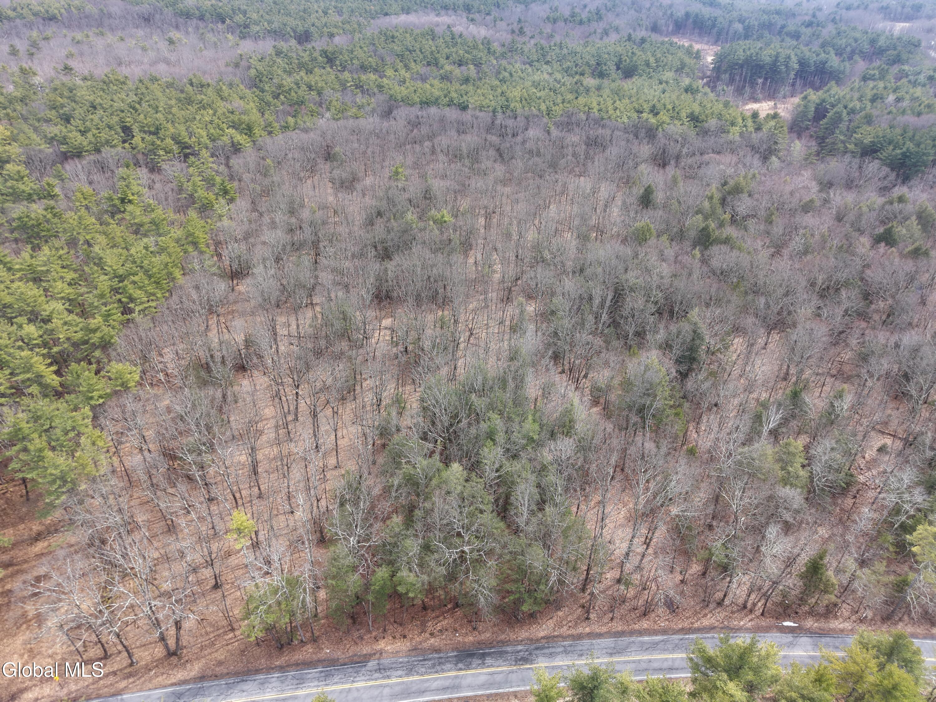 Lot 54 Rr 51 Hannacroix, NY 12087 - Photo 4 of 4 dji_fly_20260321_144036_0008_17741189419