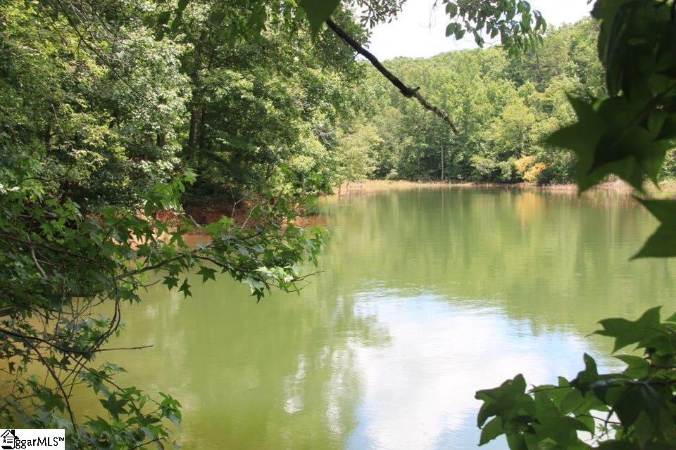 293 Green Pond Road Anderson, SC 29626 - Photo 2 of 23 Gallery Image 2