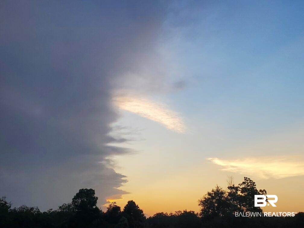 16000 John Bauer Road Summerdale, AL 36580 - Photo 30 of 34 View of nature at dusk