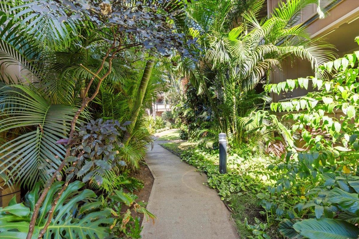 679 South Kihei Road, Unit C103 Kihei, HI 96753 - Photo 3 of 42