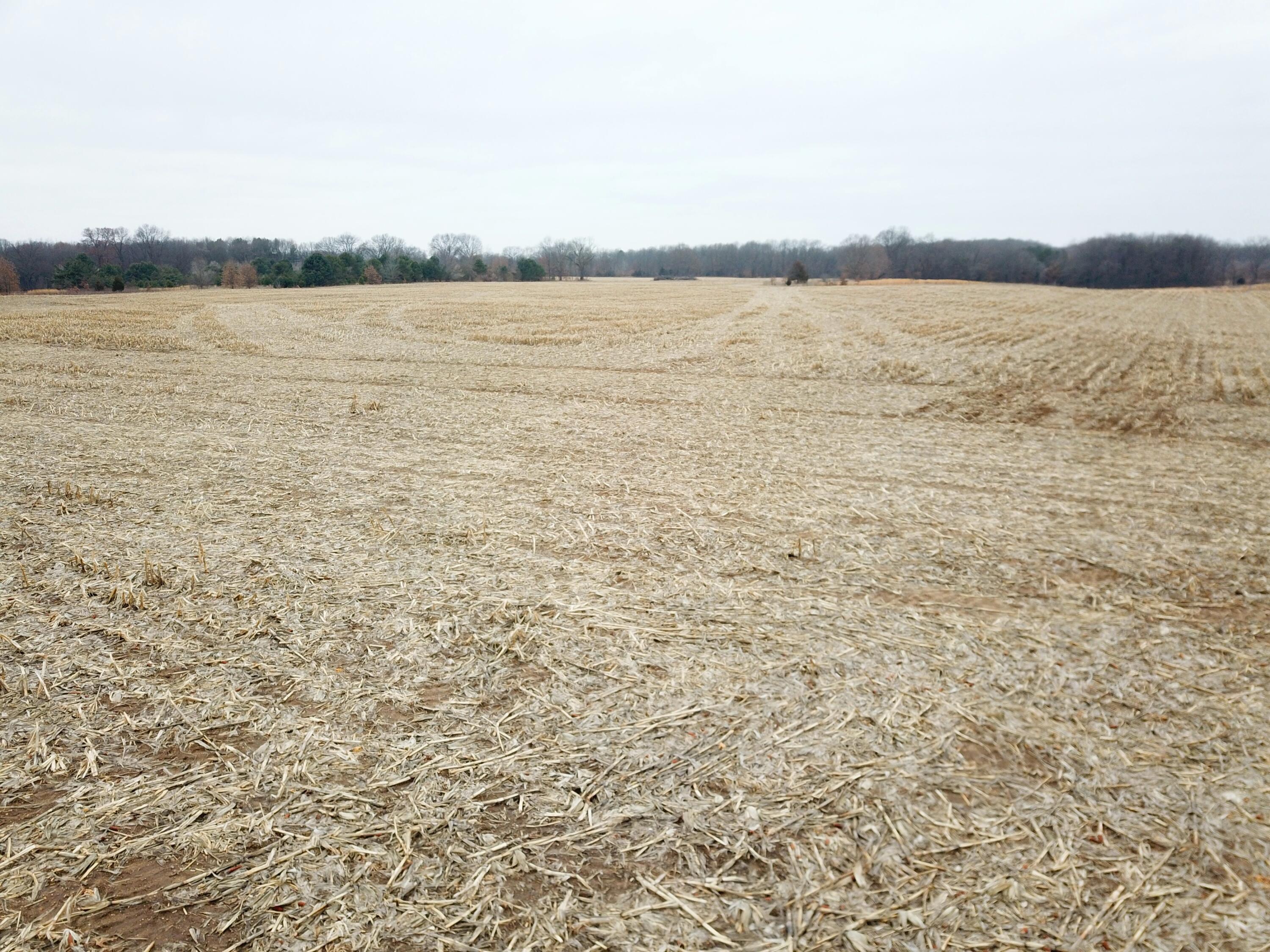 11 11 Mile Road Battle Creek, MI 49014 - Photo 2 of 9 V/L Verona/11 Mile