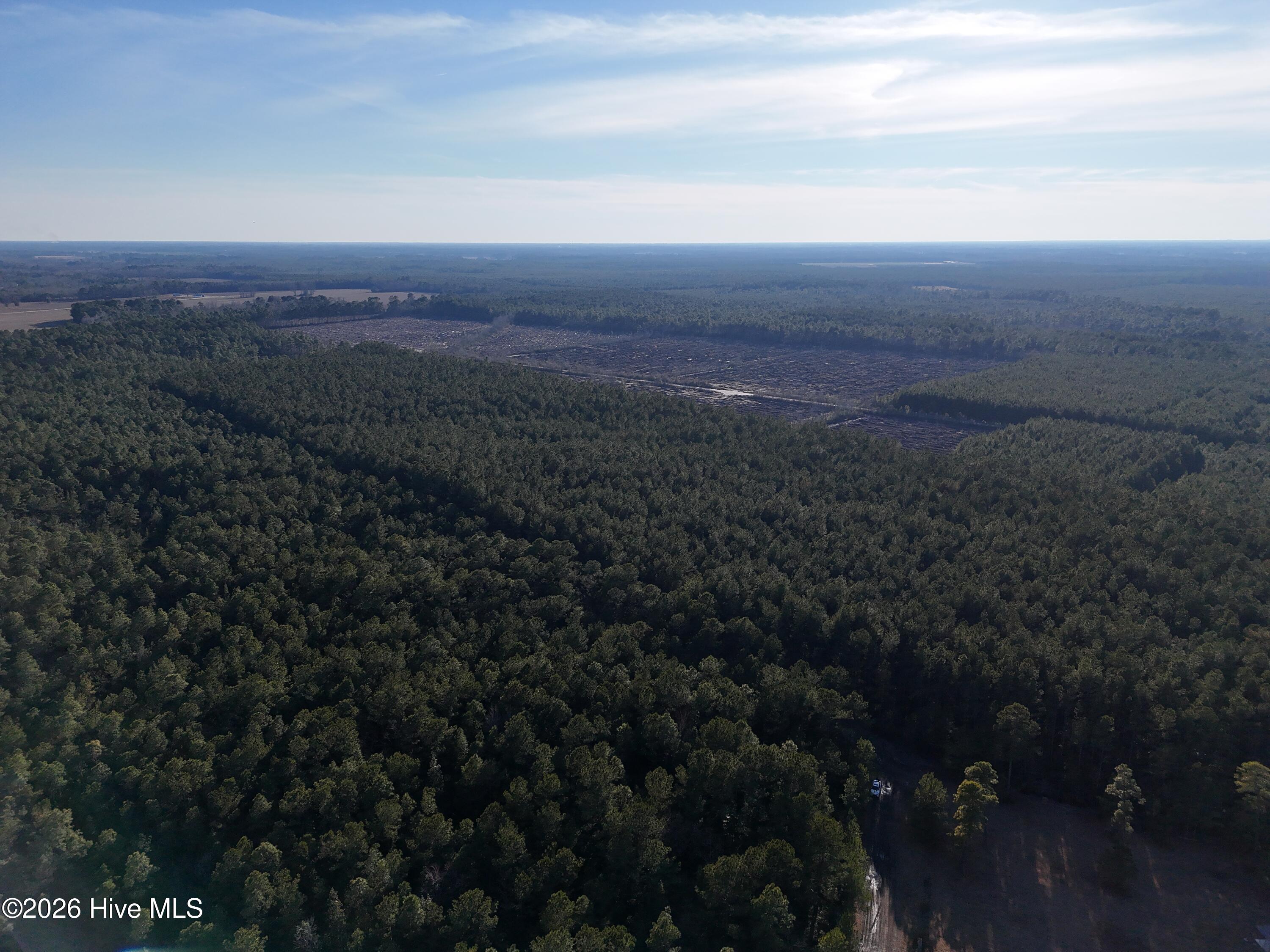 40-acres Haw Branch Road Beulaville, NC 28518 - Photo 4 of 10 dji_fly_20260214_161258_0154_17711038414