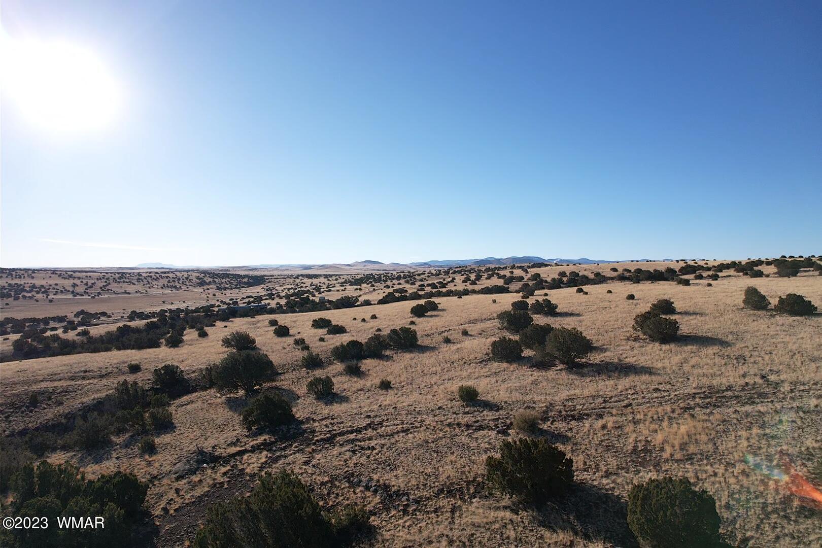 Six Ranches Concho Az 85924 Concho, AZ 85924 - Photo 3 of 19